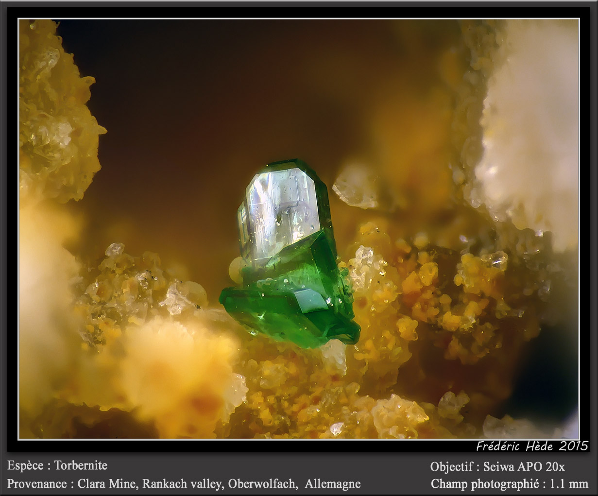 Torbernite
(Autor: ploum)