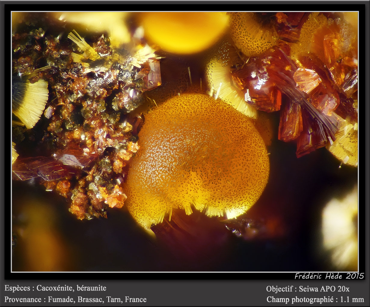 Cacoxenite and Beraunite
fov 1.1 mm
(Autor: ploum)
