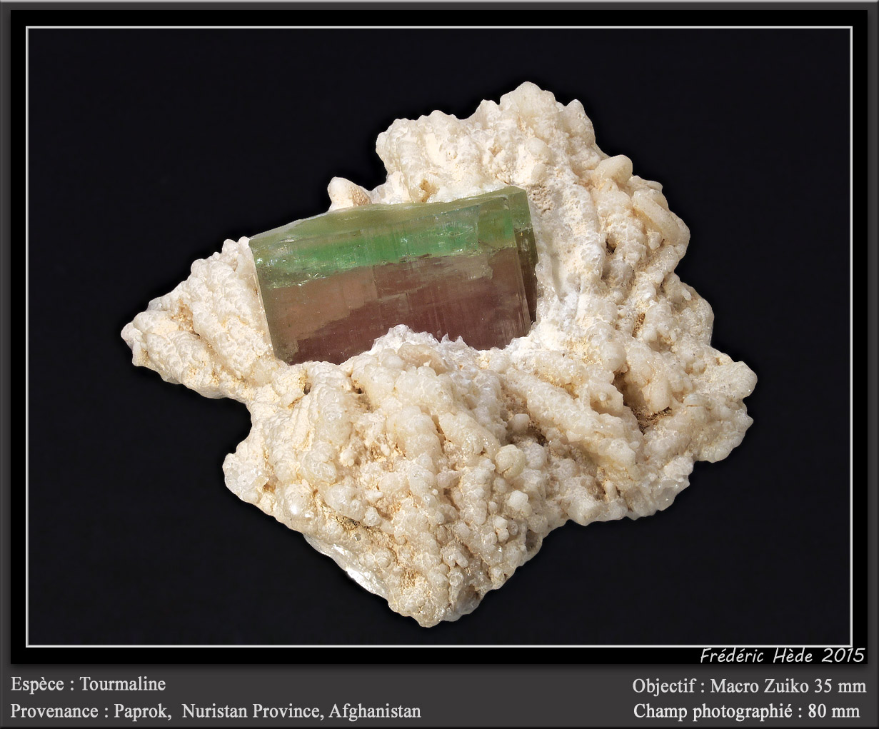 Elbaite (Tourmaline Group)
fov 80 mm
(Autor: ploum)