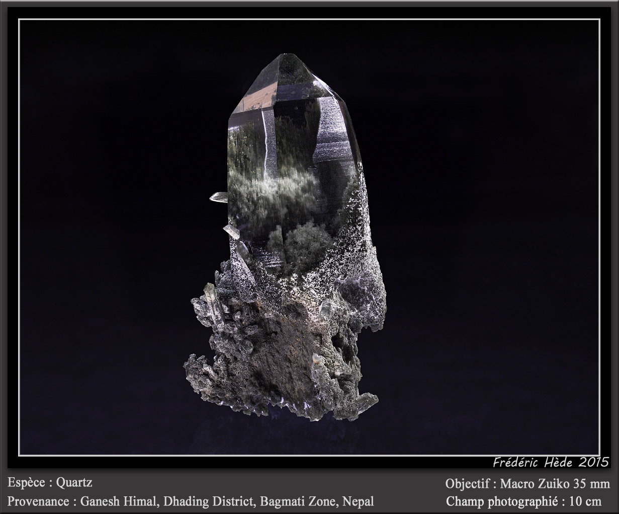 Quartz with inclusions of Chlorite
fov 10 cm
(Autor: ploum)