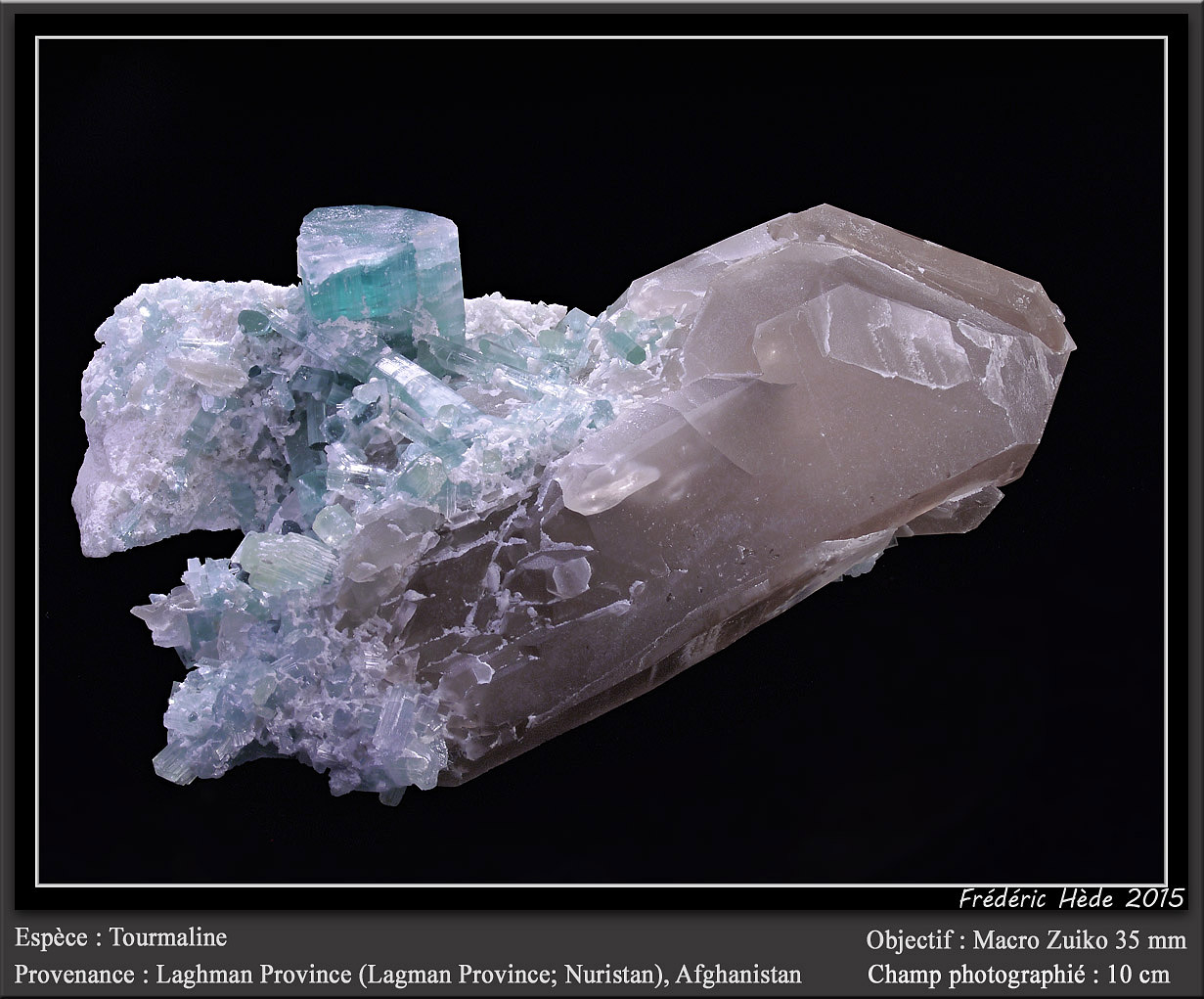 Elbaite (Tourmaline Group) on Quartz (variety smoky)
fov 10 cm
(Autor: ploum)