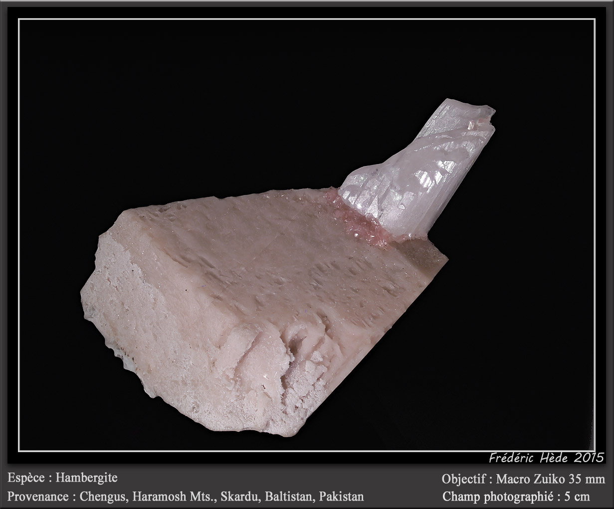 Hambergite on Feldspar
fov 5 cm
(Autor: ploum)