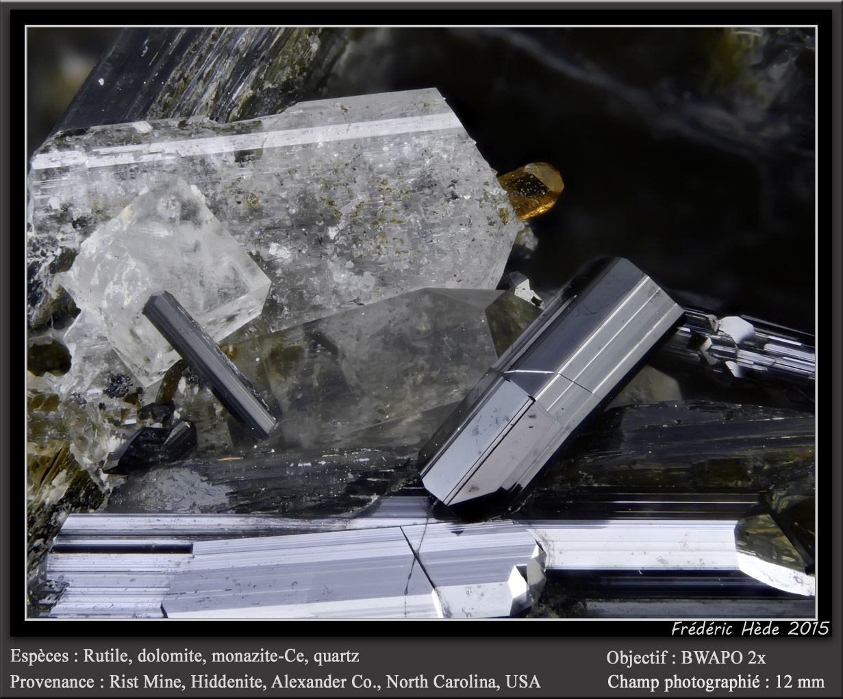 Rutile and Monazite
fov 12 mm
(Autor: ploum)