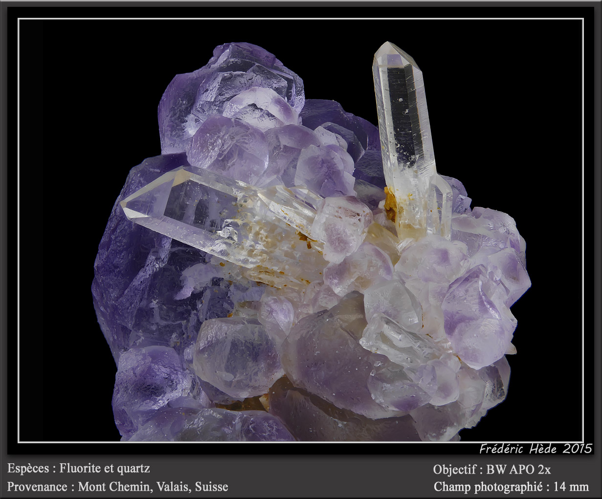 Fluorite and Quartz
fov 14 mm
(Autor: ploum)
