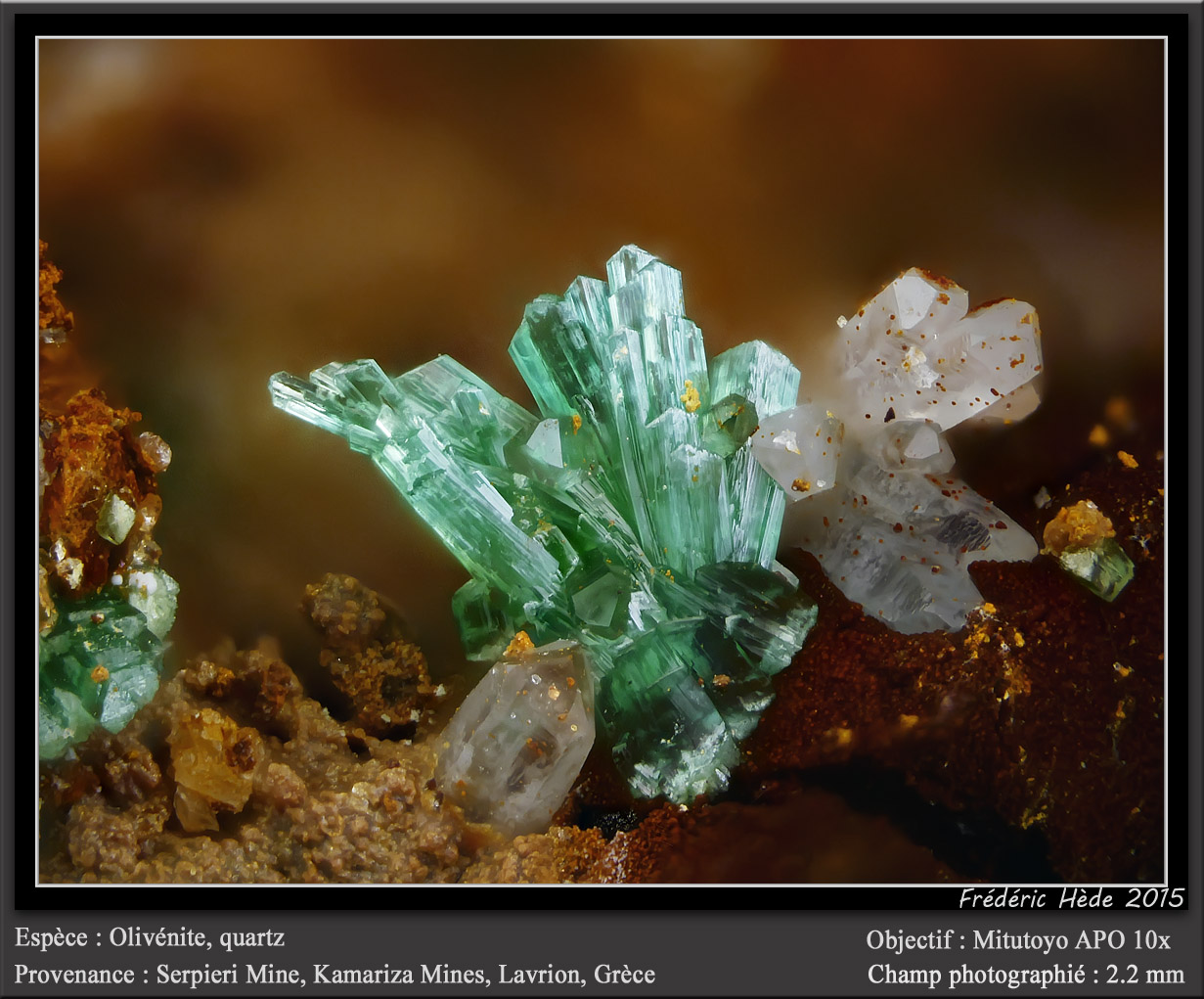 Olivenite and Quartz
fov 2.2 mm
(Autor: ploum)