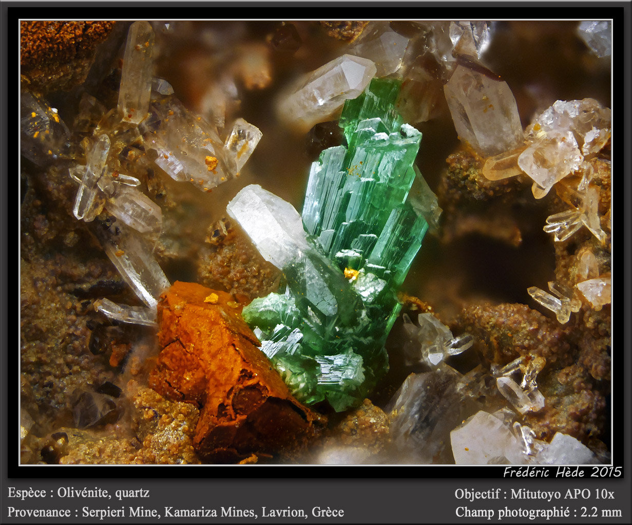 Olivenite and Quartz
fov 2.2 mm
(Autor: ploum)