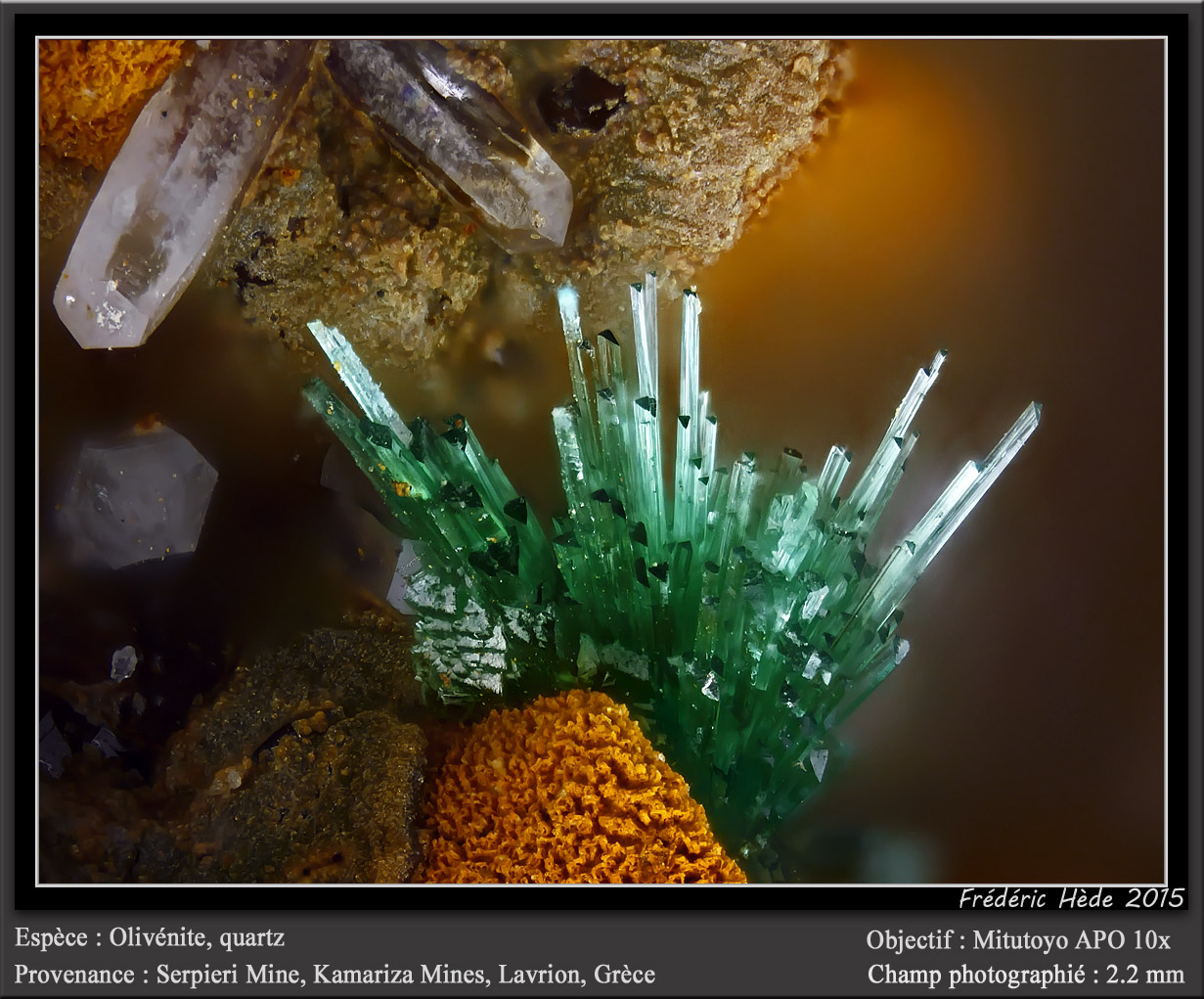 Olivenite and Quartz
fov 2.2 mm
(Autor: ploum)
