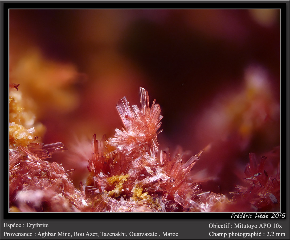 Erythrite
fov 2.2 mm
(Autor: ploum)