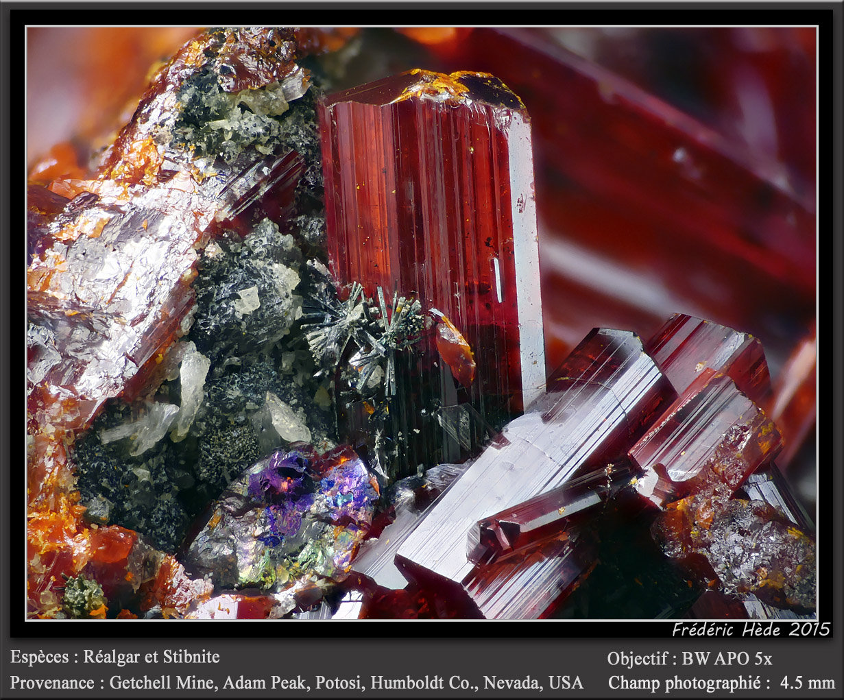 Realgar and Stibnite
fov 4.5 mm
(Autor: ploum)
