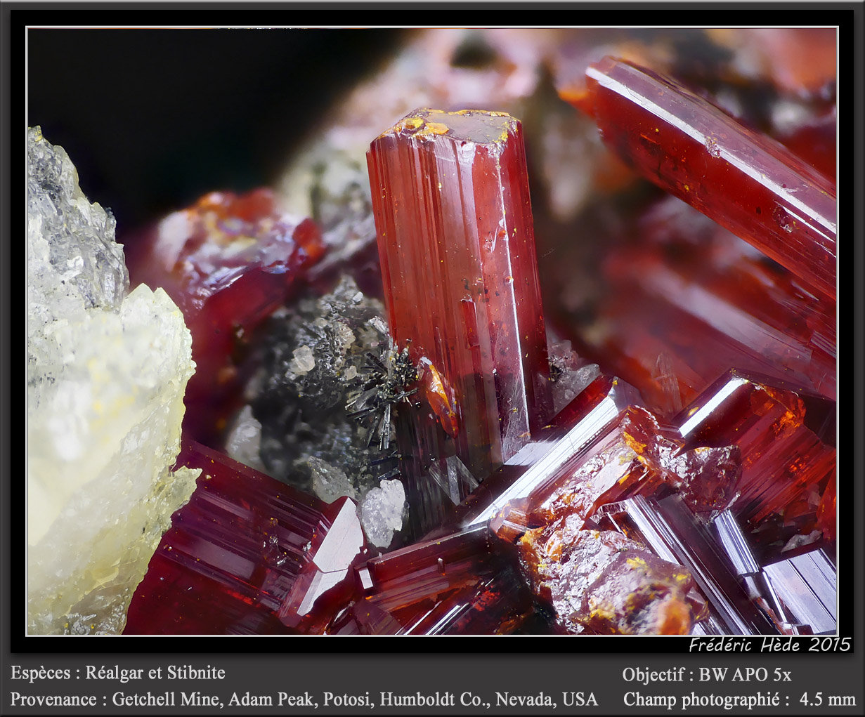Realgar and Stibnite
fov 4.5 mm
(Autor: ploum)