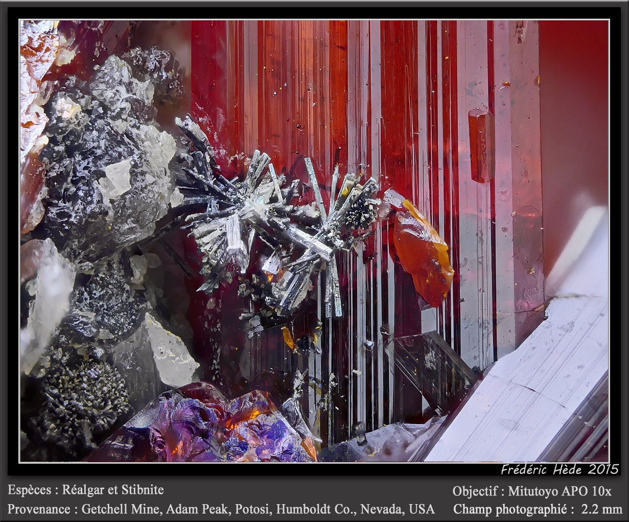 Stibnite on Realgar
fov 2.2 mm
(Autor: ploum)
