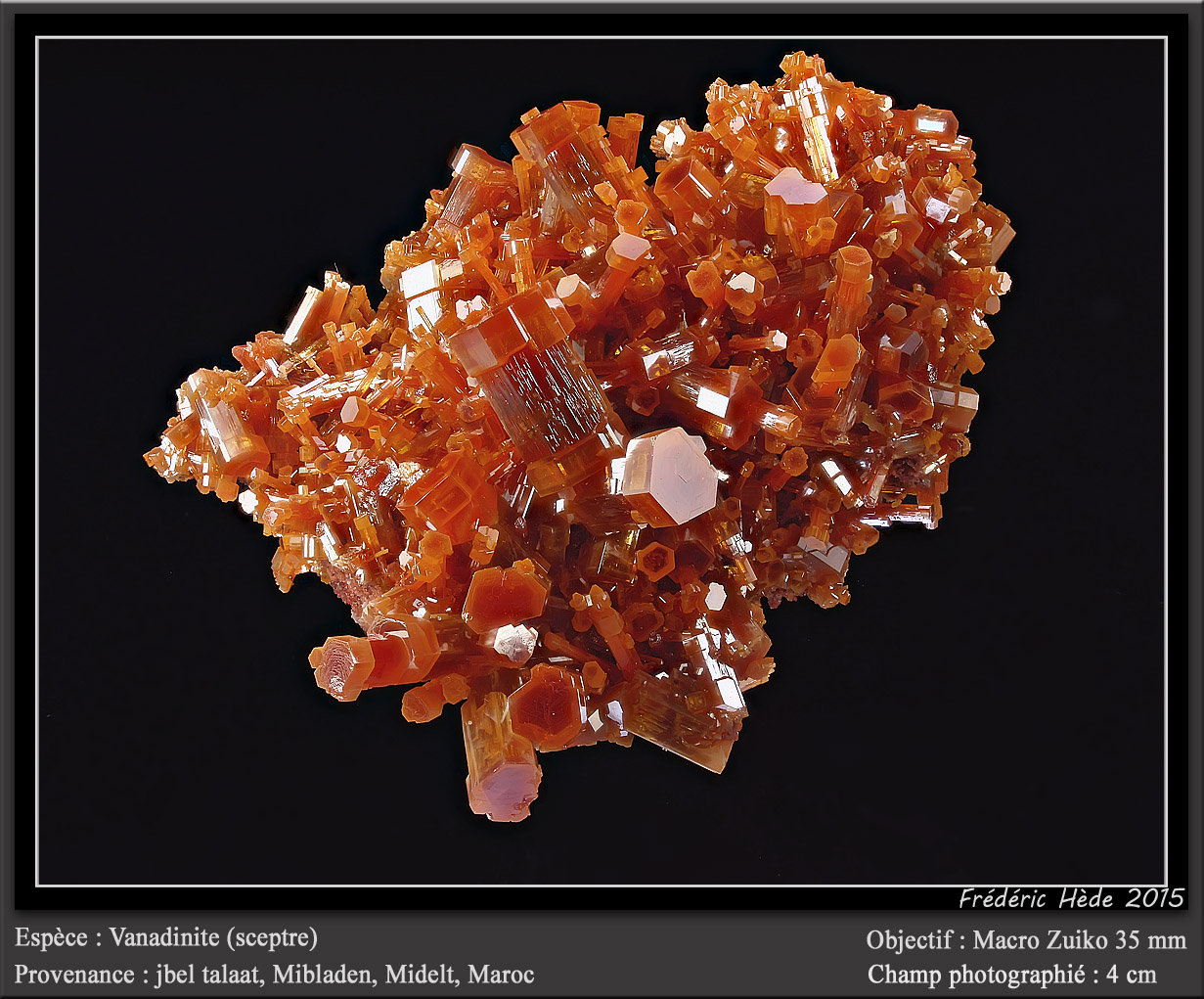 Vanadinite
fov 4 cm
(Autor: ploum)