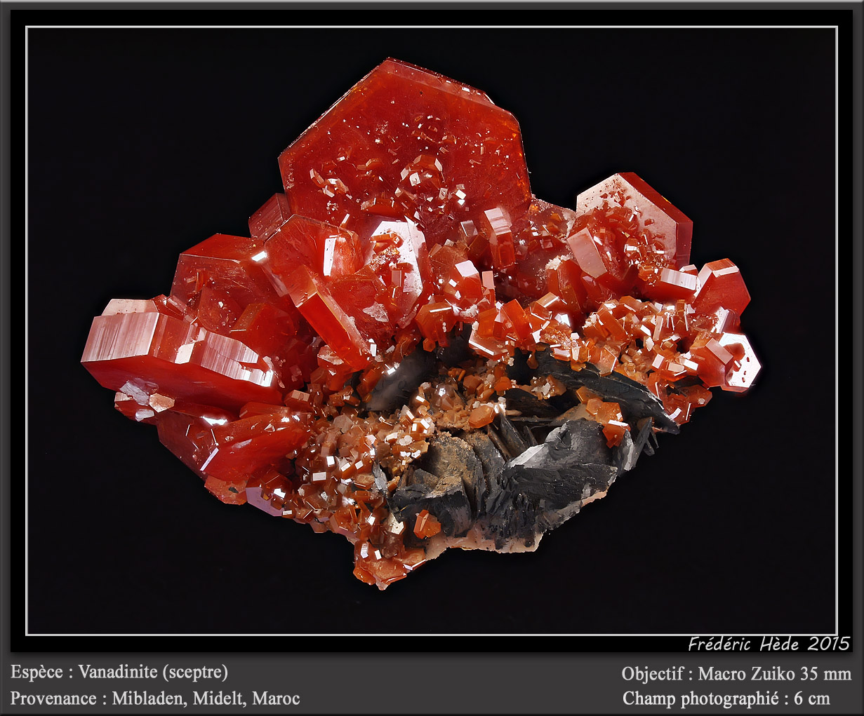 Vanadinite
fov 6 cm
(Autor: ploum)