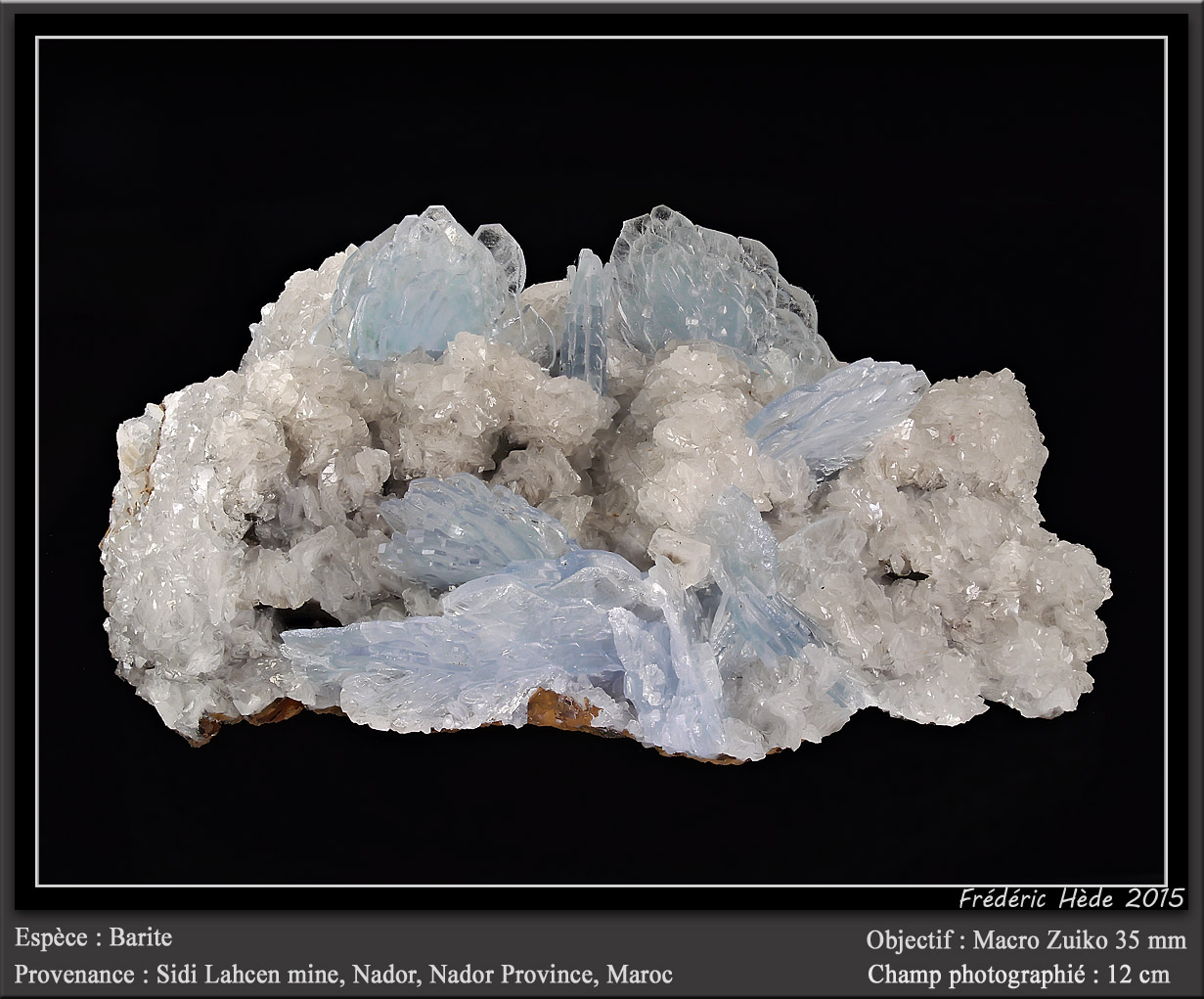 Barite
fov 12 cm
(Autor: ploum)