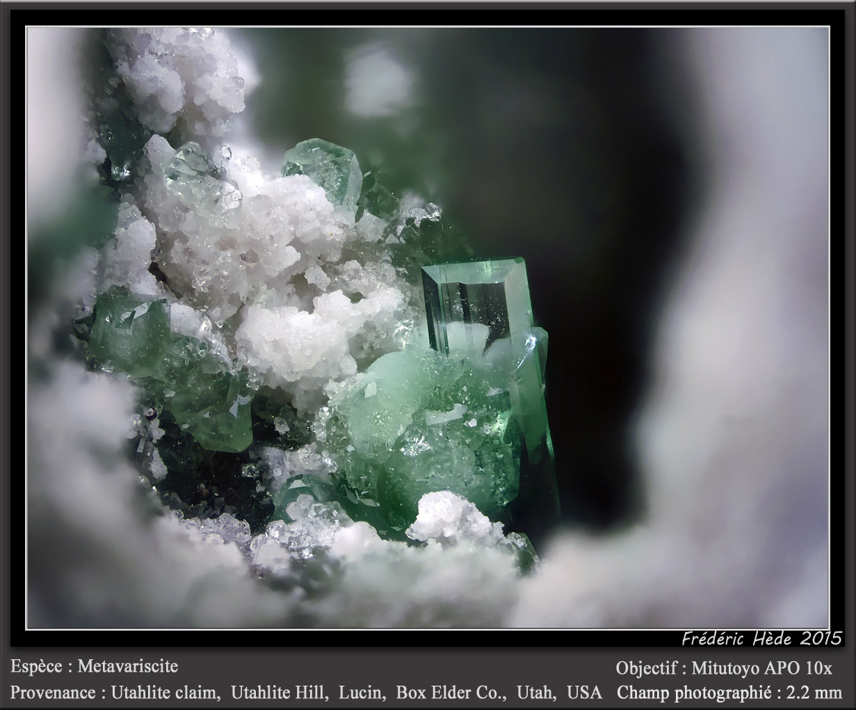 Metavariscite
fov 2.2 mm
(Autor: ploum)