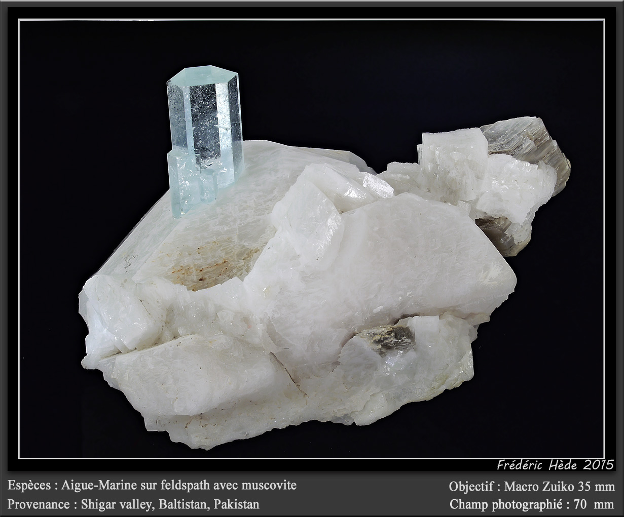 Beryl (variety aquamarine) on Feldspar and with Muscovite
fov 70 mm
(Autor: ploum)