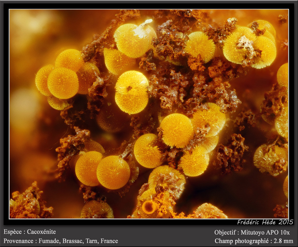 Cacoxenite
fov 2.8 mm
(Autor: ploum)