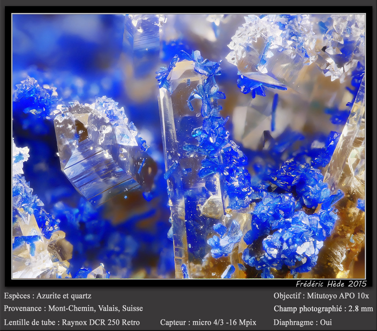 Azurite on Quartz
fov 2.8 mm
(Autor: ploum)