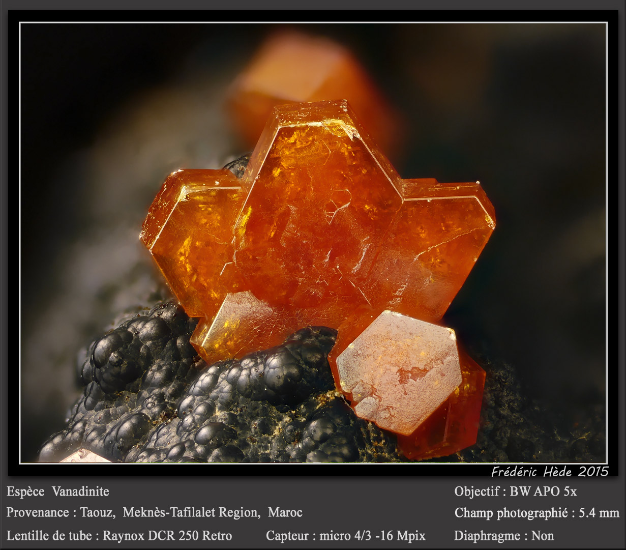 Vanadinite
fov 5.4 mm
(Autor: ploum)