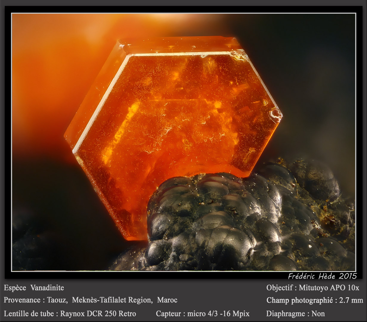 Vanadinite
fov 2.7 mm
(Autor: ploum)
