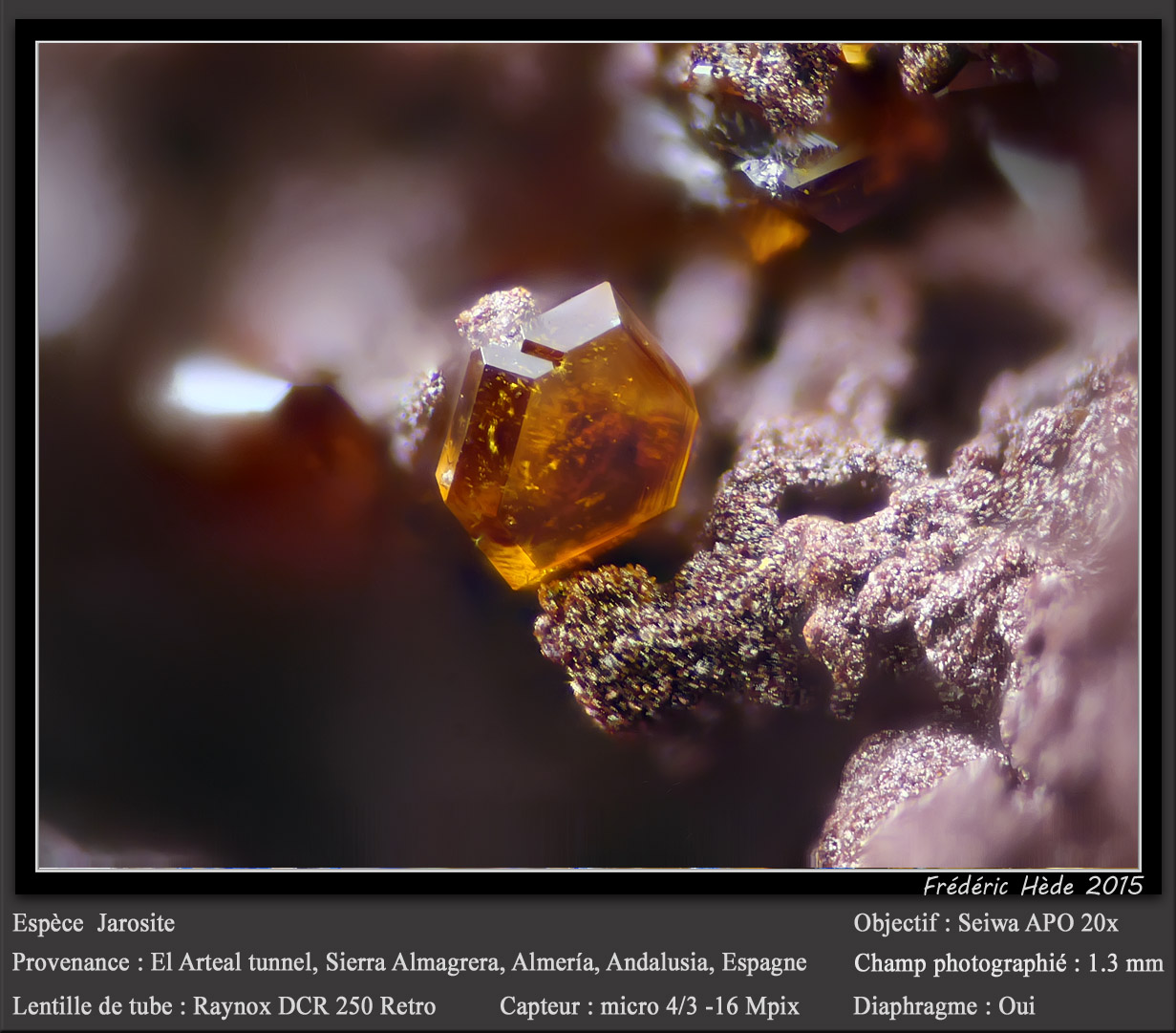 Jarosite
fov 1.3 mm
(Autor: ploum)