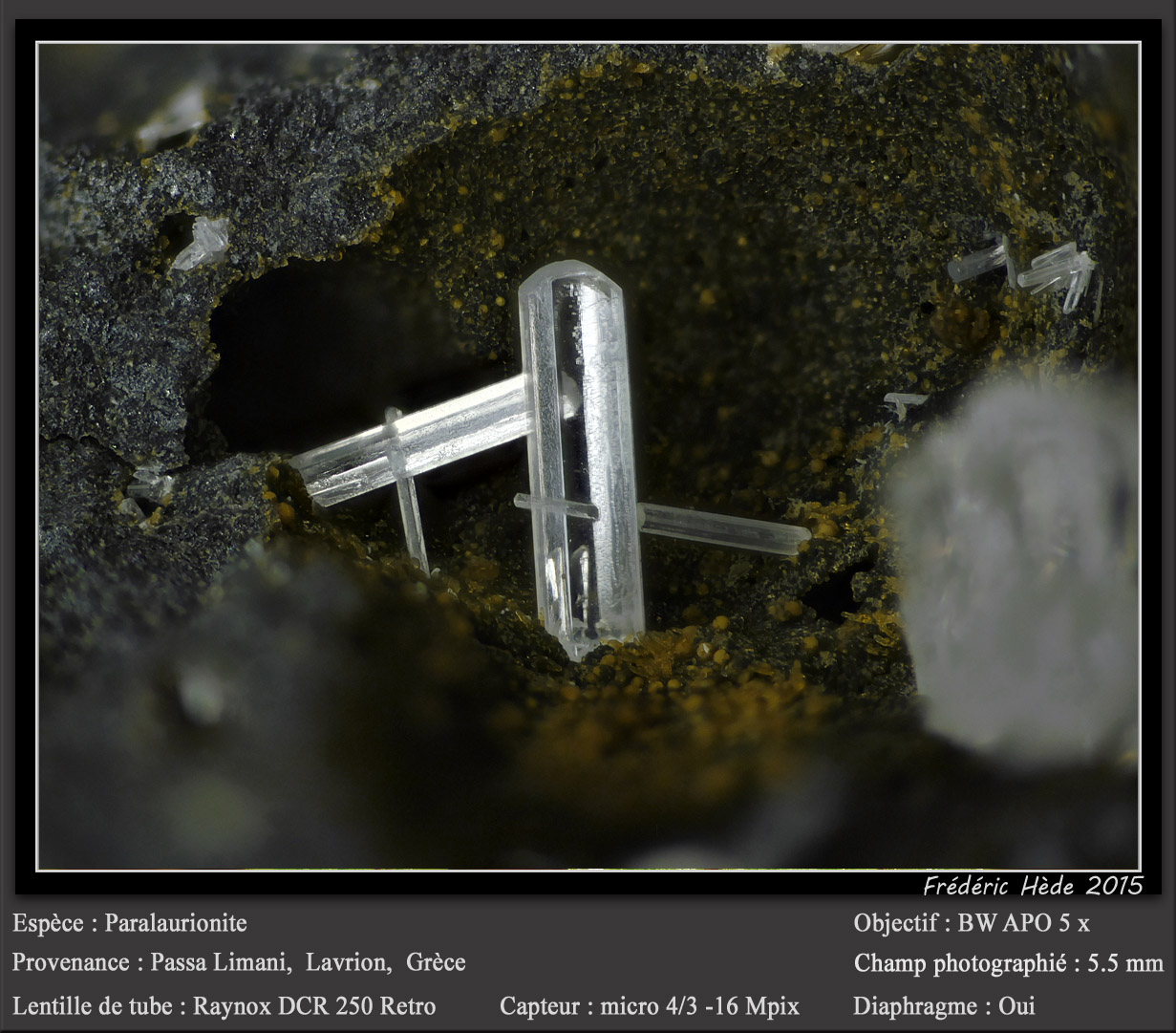 Paralaurionite
fov 5.5 mm
(Autor: ploum)