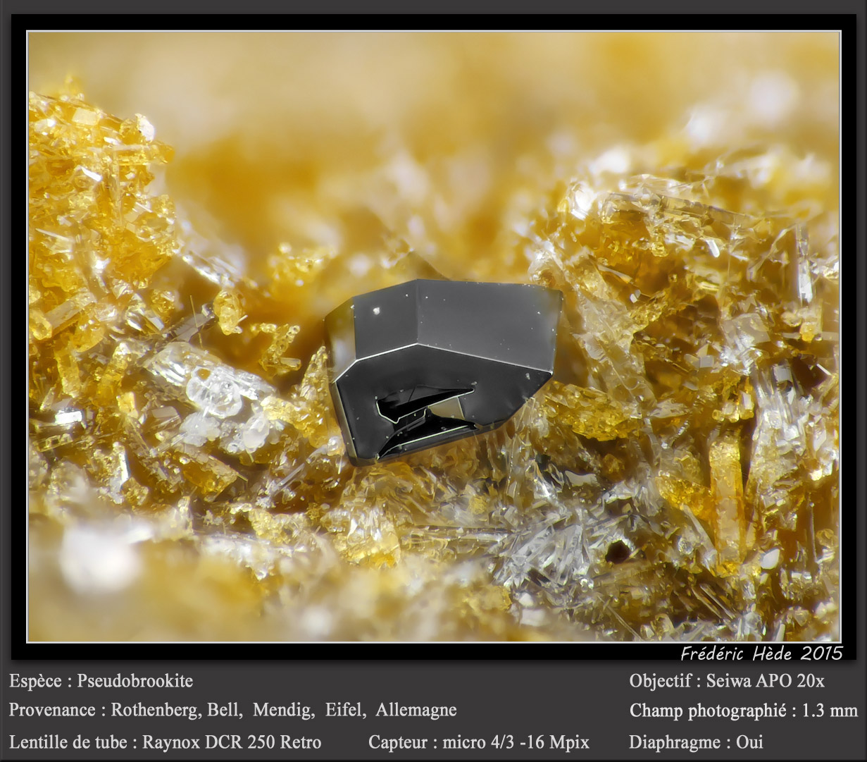 Pseudobrookite
fov 1.3 mm
(Autor: ploum)