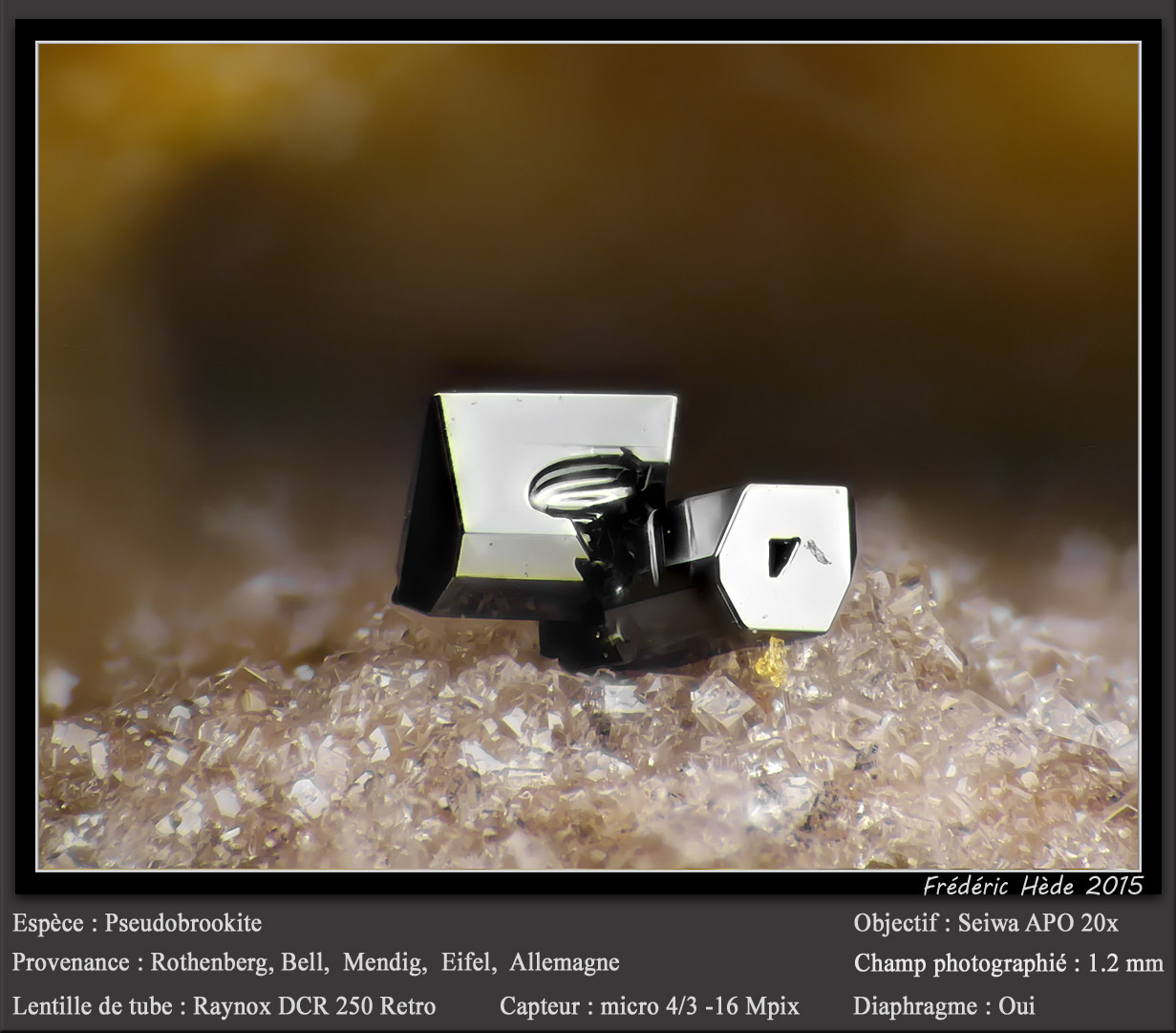 Pseudobrookite
fov 1.2 mm
(Autor: ploum)