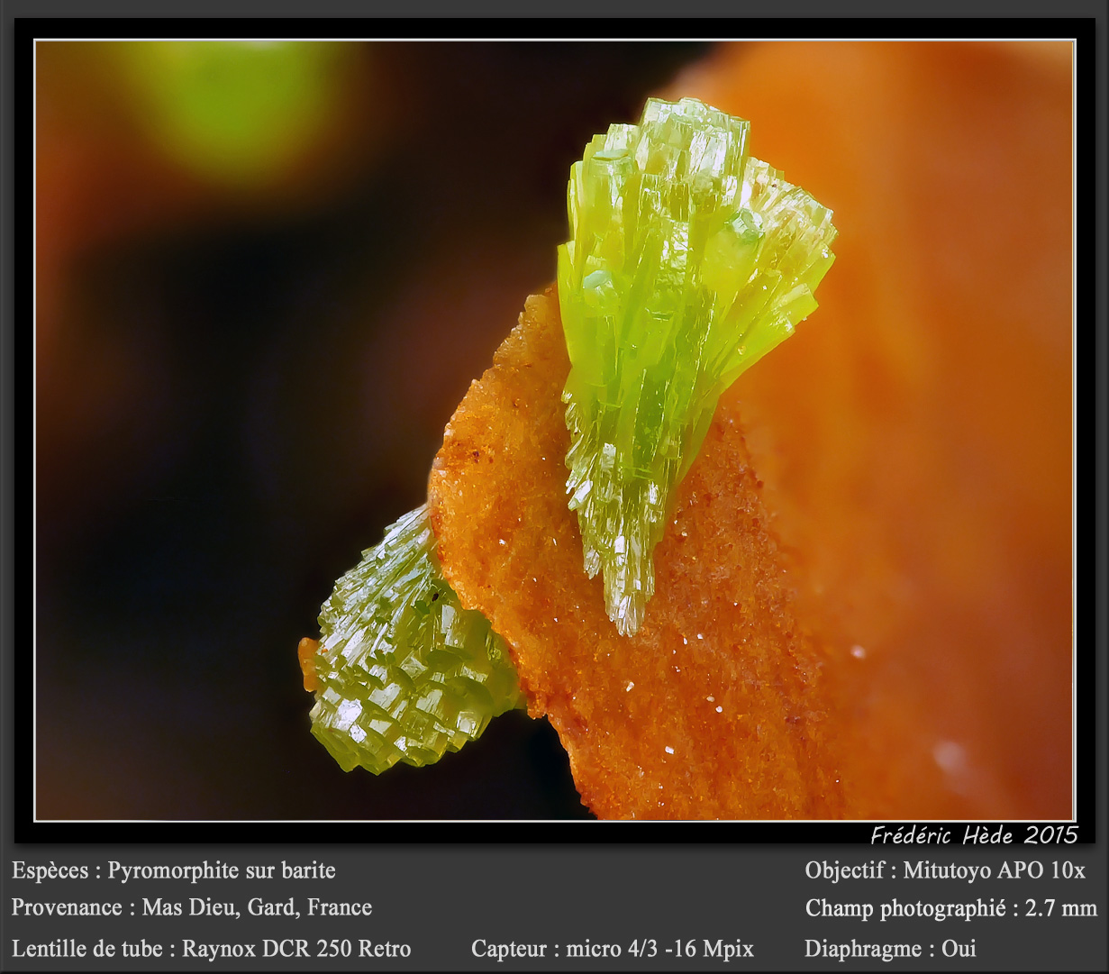 Pyromorphite on Barite
fov 2.7 mm
(Autor: ploum)