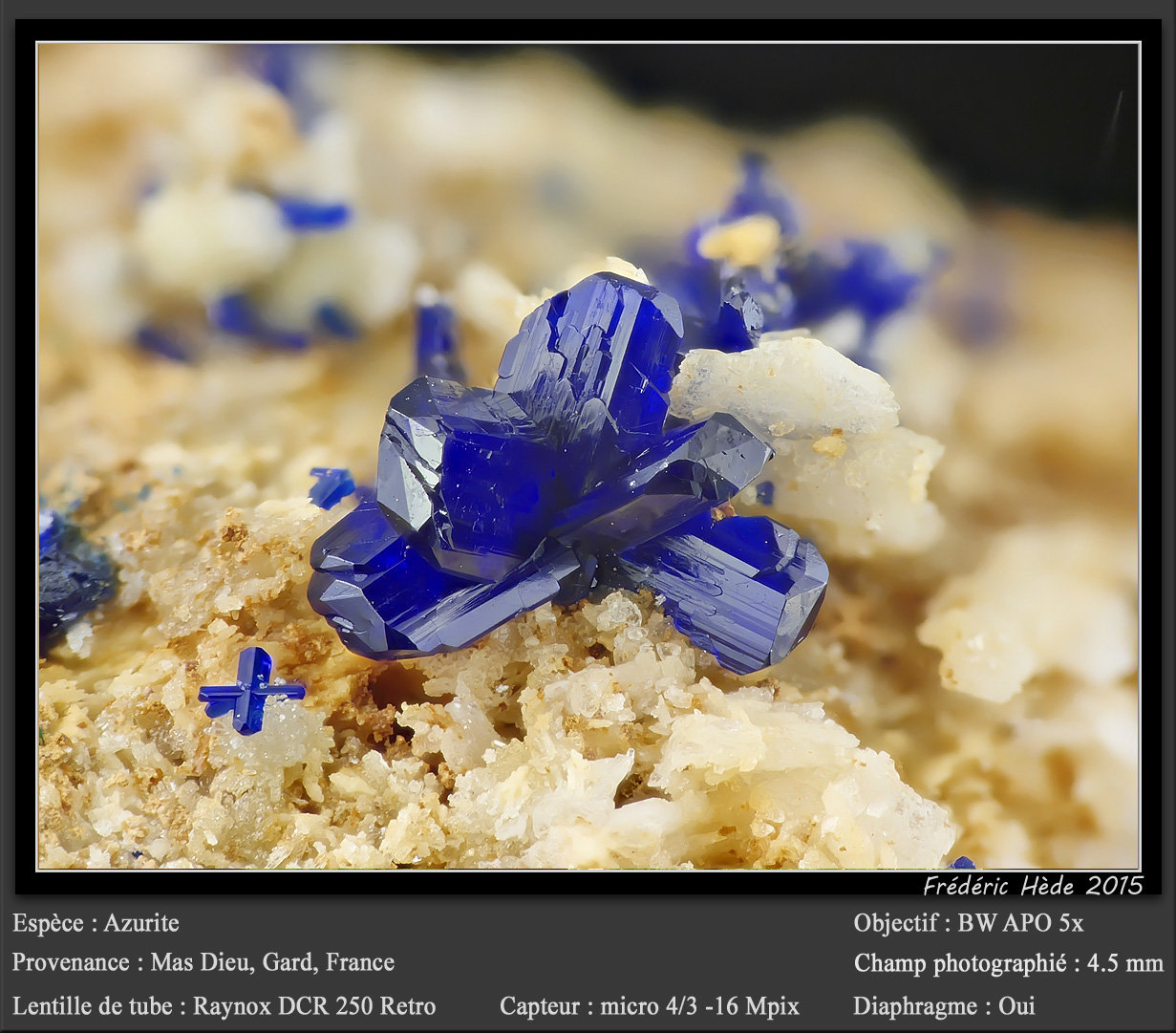 Azurite
fov 4.5 mm
(Autor: ploum)