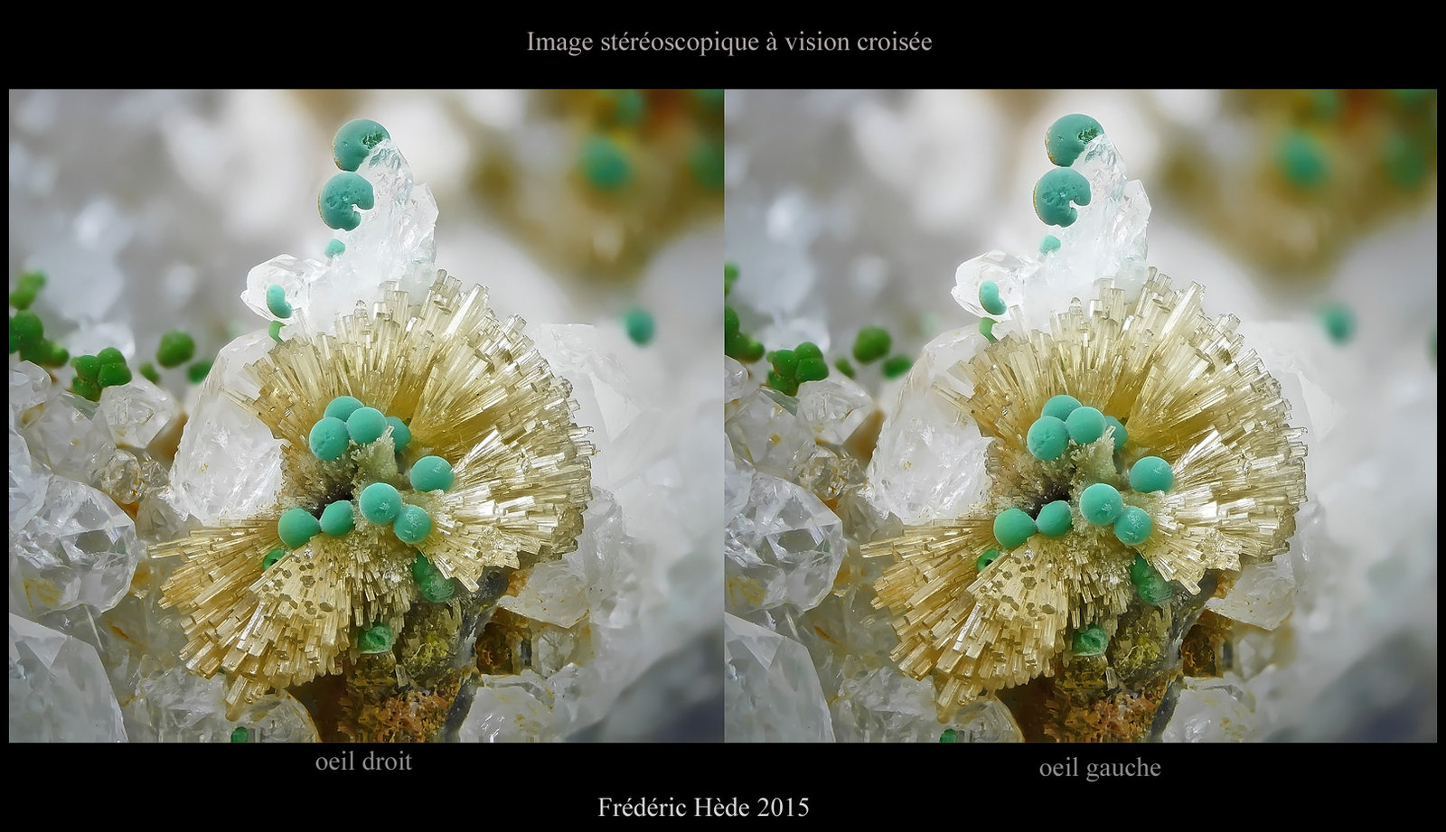 Mimetite with Malachite
fov 5.2 mm.
(Autor: ploum)