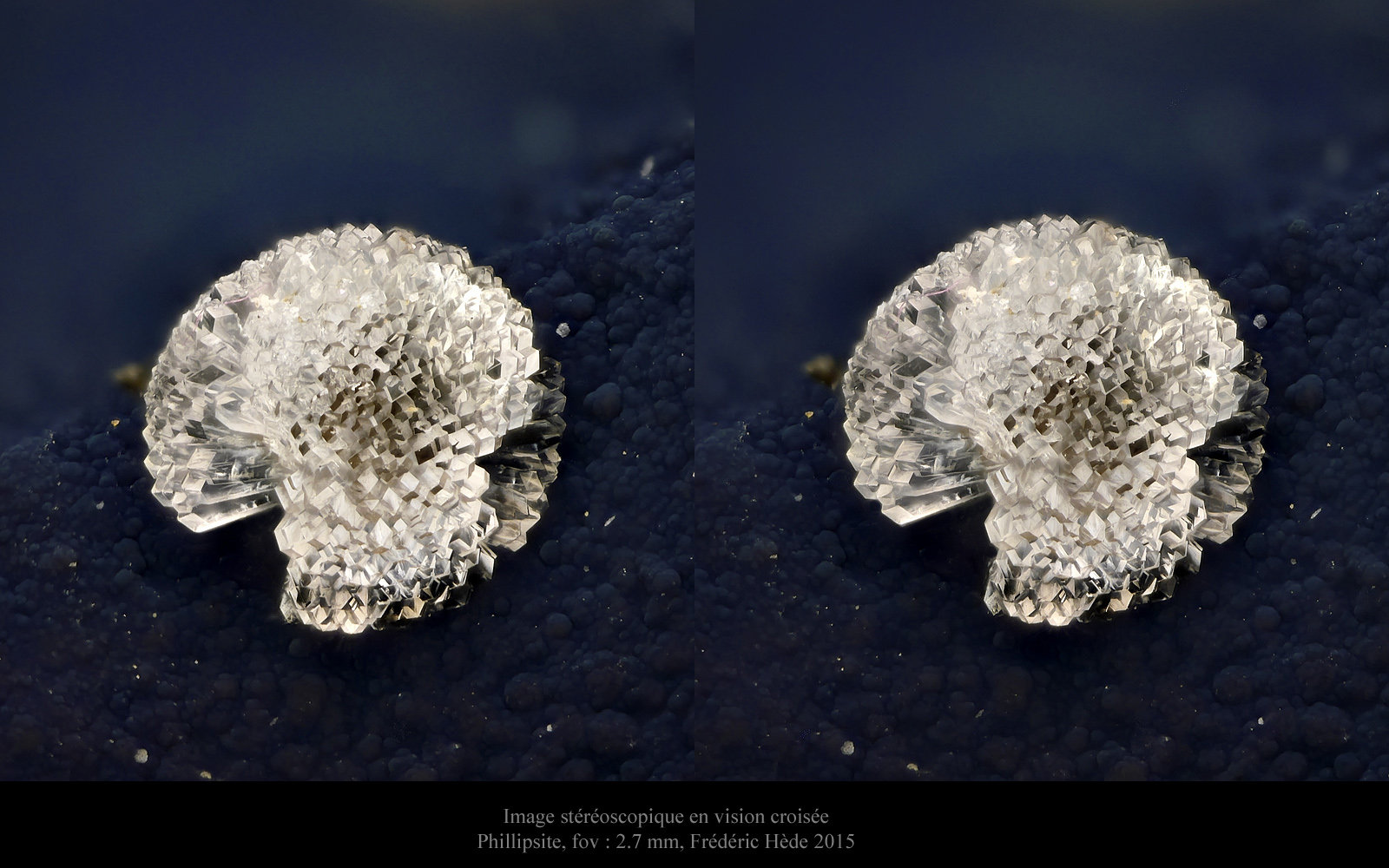 Phillipsite
fov 2.6 mm.
(Autor: ploum)
