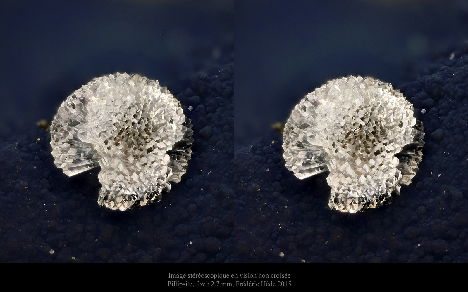 Phillipsite
fov 2.6 mm.
(Autor: ploum)
