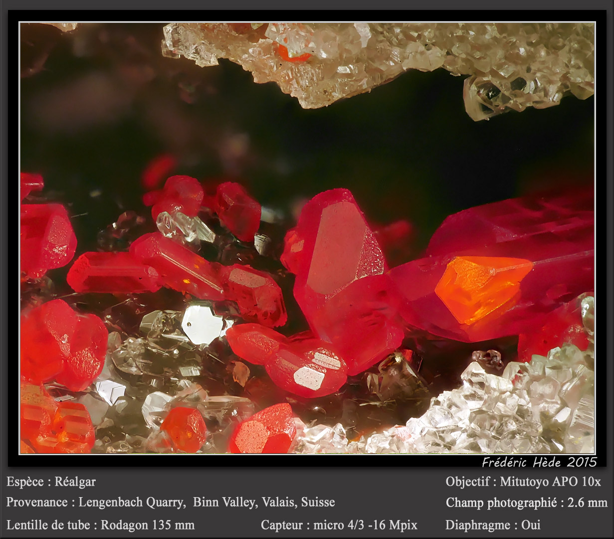 Realgar
fov 2.6 mm
(Autor: ploum)