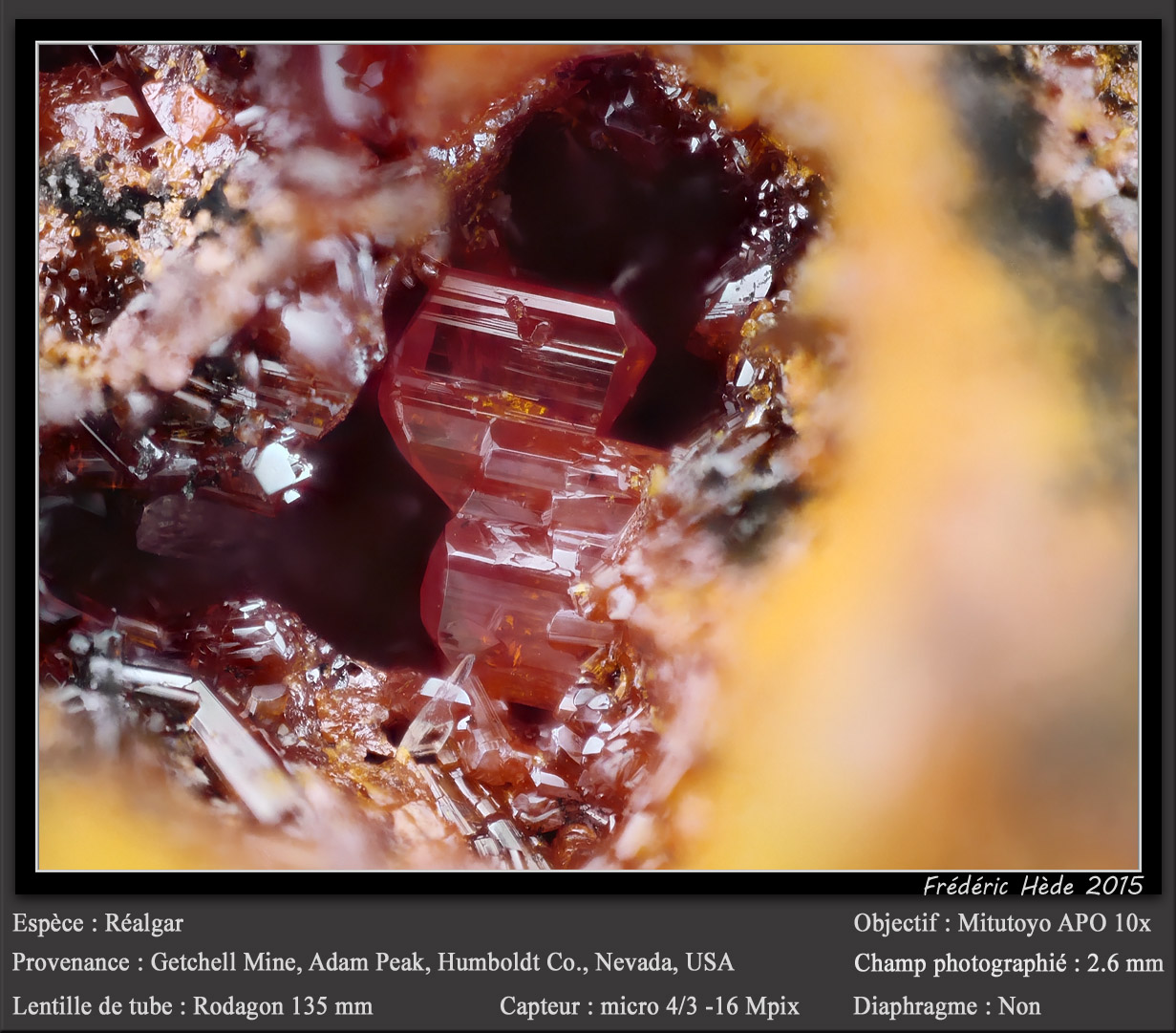 Realgar
fov 2.6 mm
(Autor: ploum)