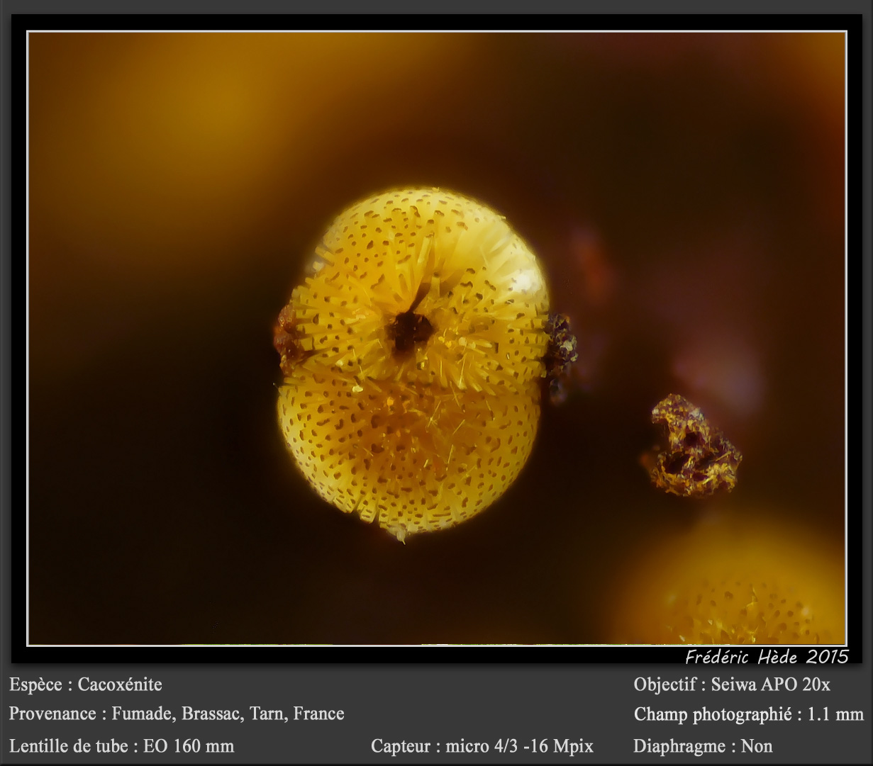 Cacoxenite
fov 1.1 mm
(Autor: ploum)