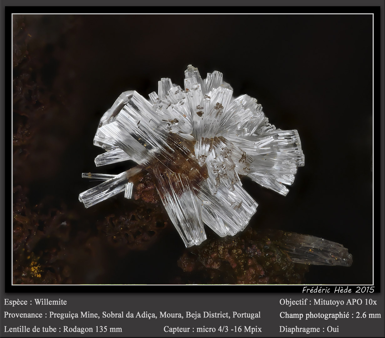 Willemite
fov 2.6 mm
(Autor: ploum)