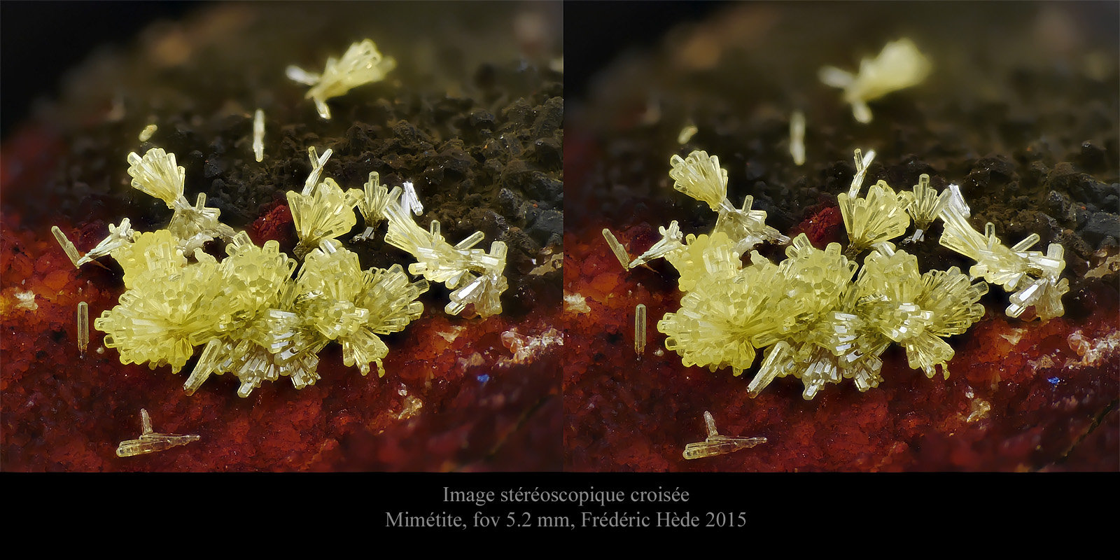 Mimetite
fov 5.2 mm
(Autor: ploum)
