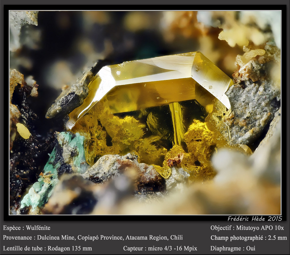 Wulfenite
fov 2.5 mm
(Autor: ploum)