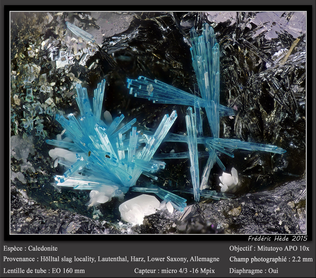 Caledonite
2.2 mm
(Autor: ploum)