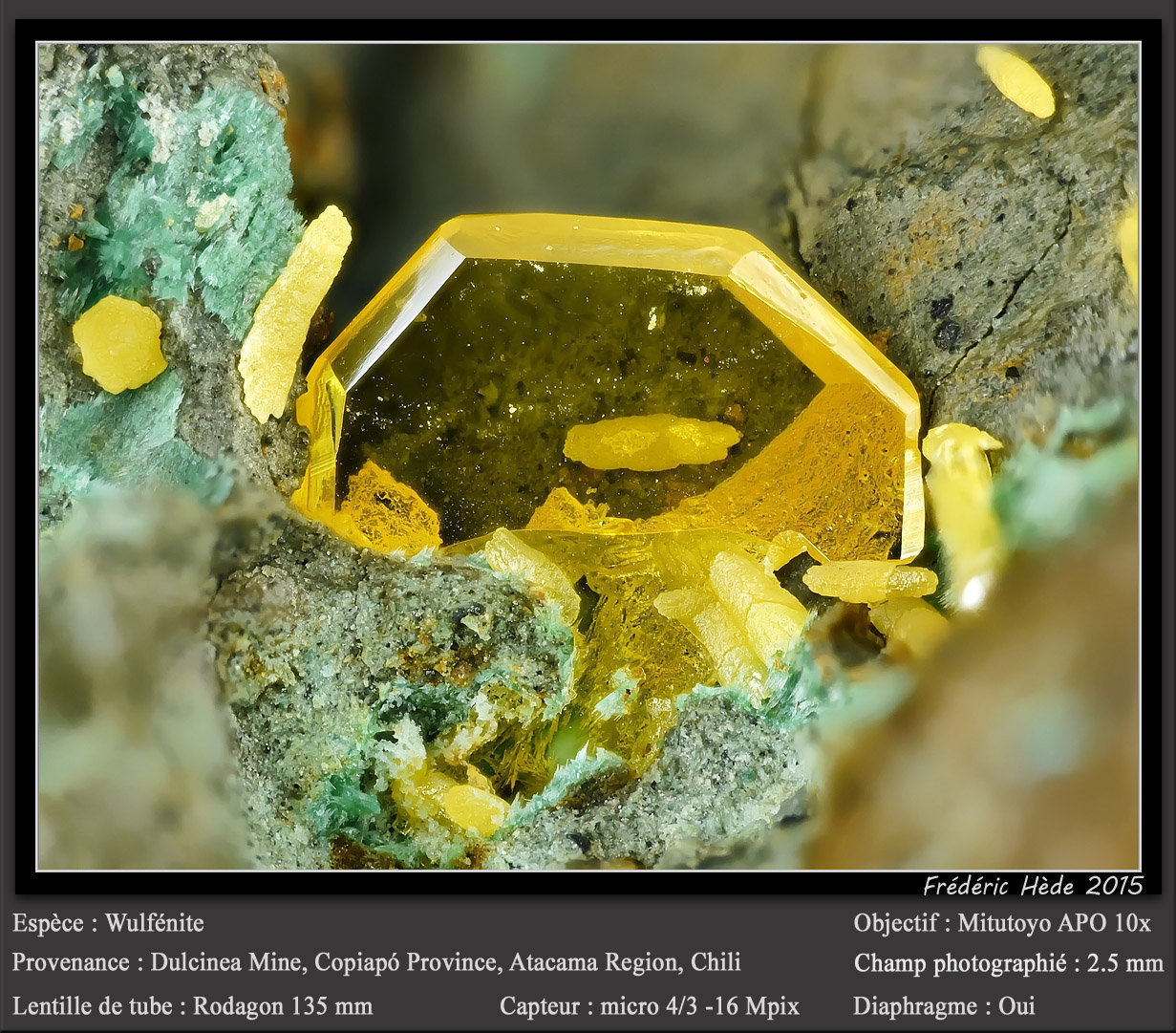Wulfenite
fov 2.6 mm
(Autor: ploum)
