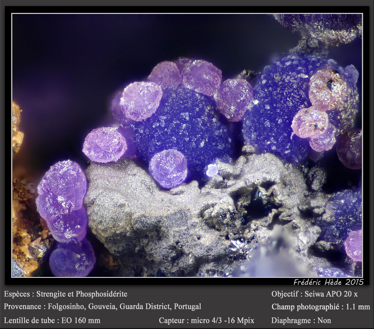 Strengite et Phosphosiderite
fov 1.1 mm
(Autor: ploum)