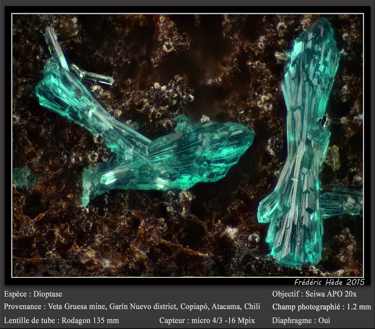 Dioptase
fov 1.2 mm
(Autor: ploum)