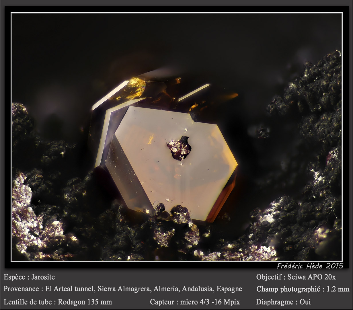 Jarosite
fov 1.2 mm
(Autor: ploum)