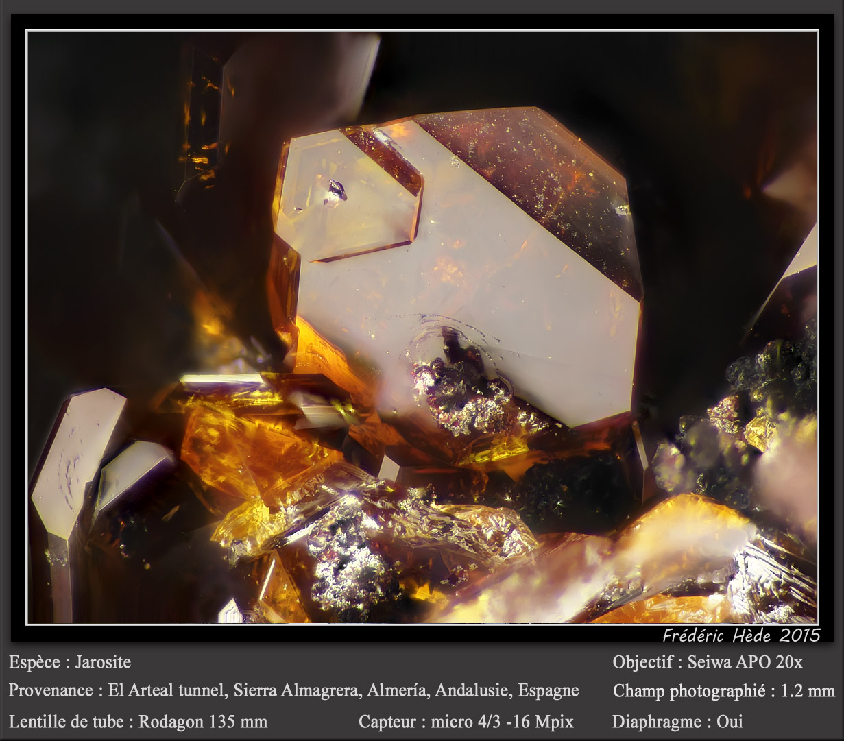 Jarosite
fov 1.2 mm
(Autor: ploum)