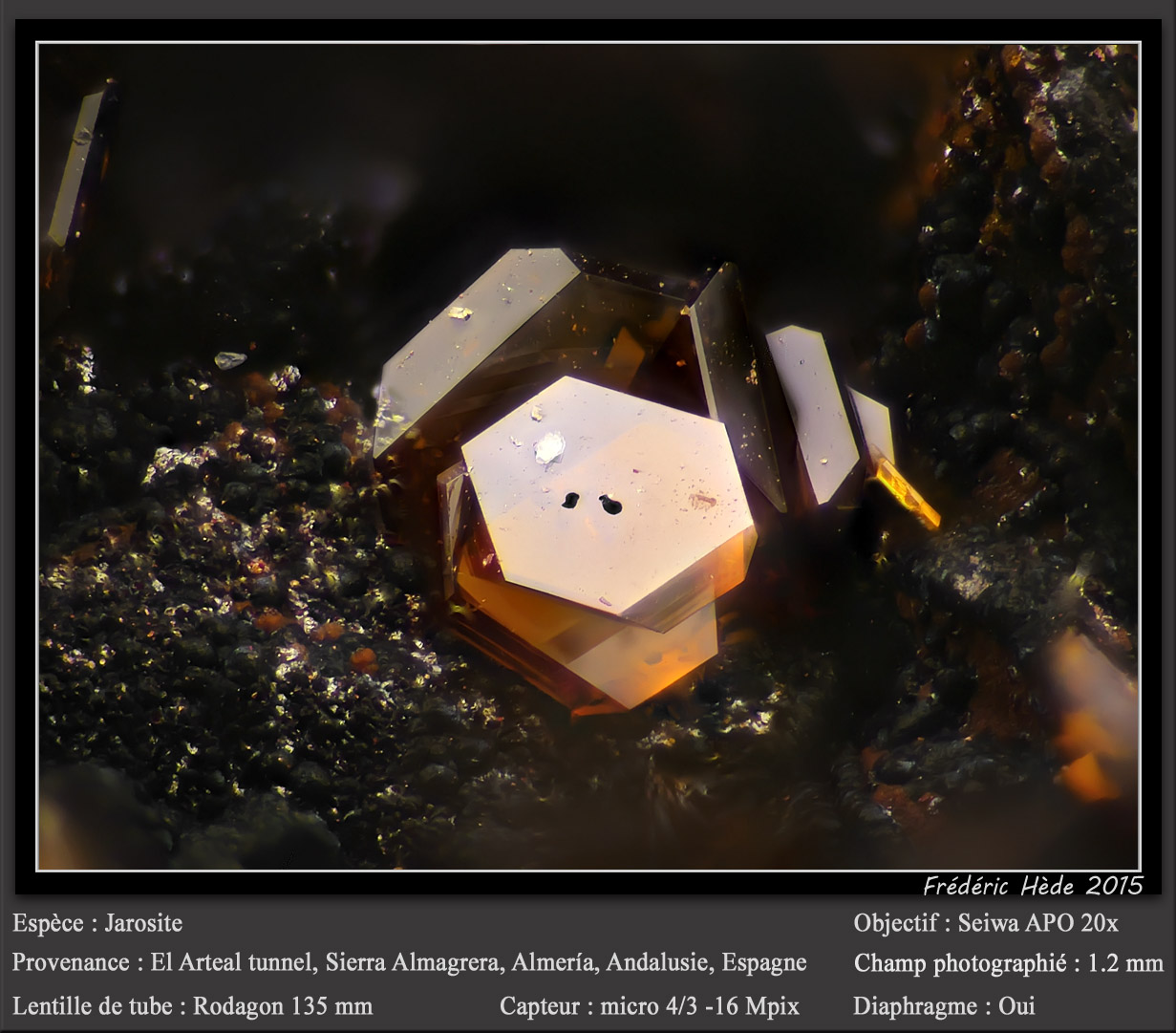 Jarosite
fov 1.2 mm
(Autor: ploum)