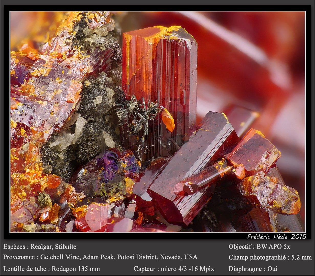 Realgar and Stibnite
fov 5.2 mm
(Autor: ploum)