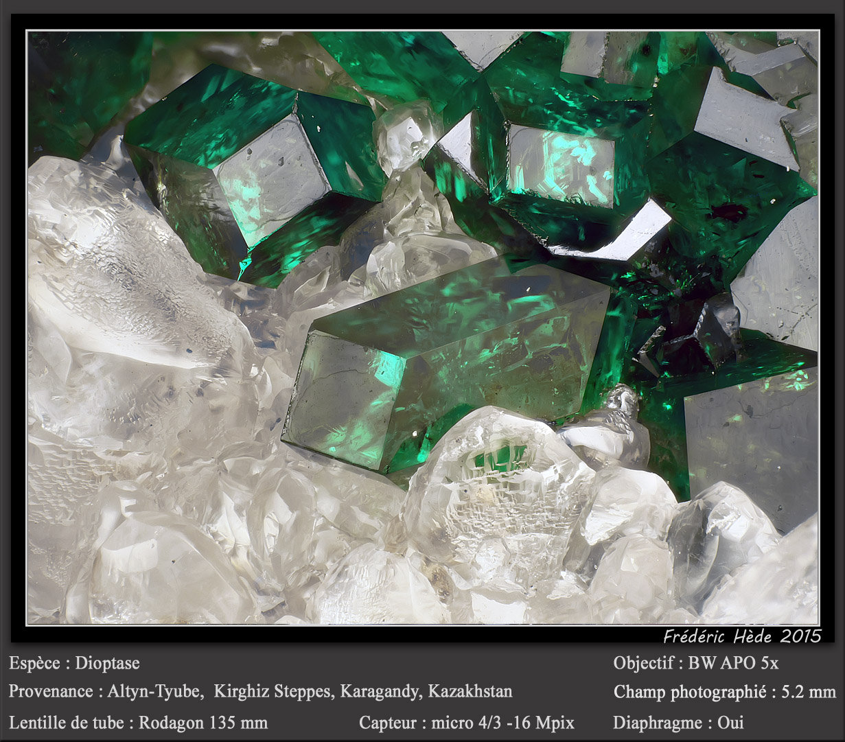 Dioptase
fov 5.2 mm
(Autor: ploum)