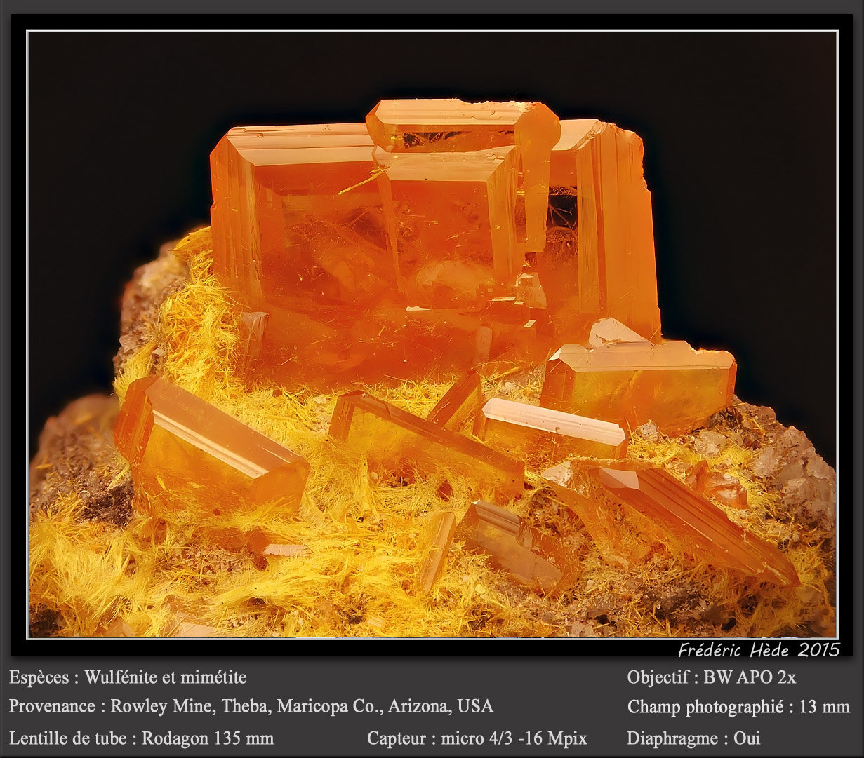 Wulfenite and Mimetite
fov 13 mm
(Autor: ploum)