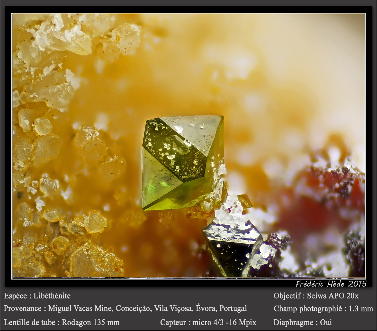Libethenite
fov 1.2 mm
(Autor: ploum)